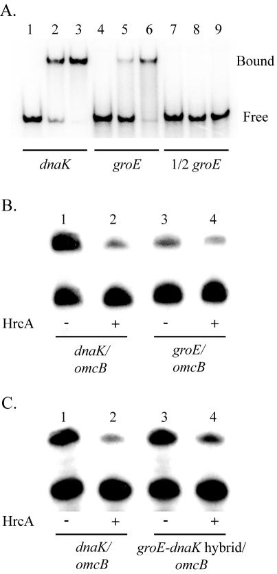 FIG. 5.