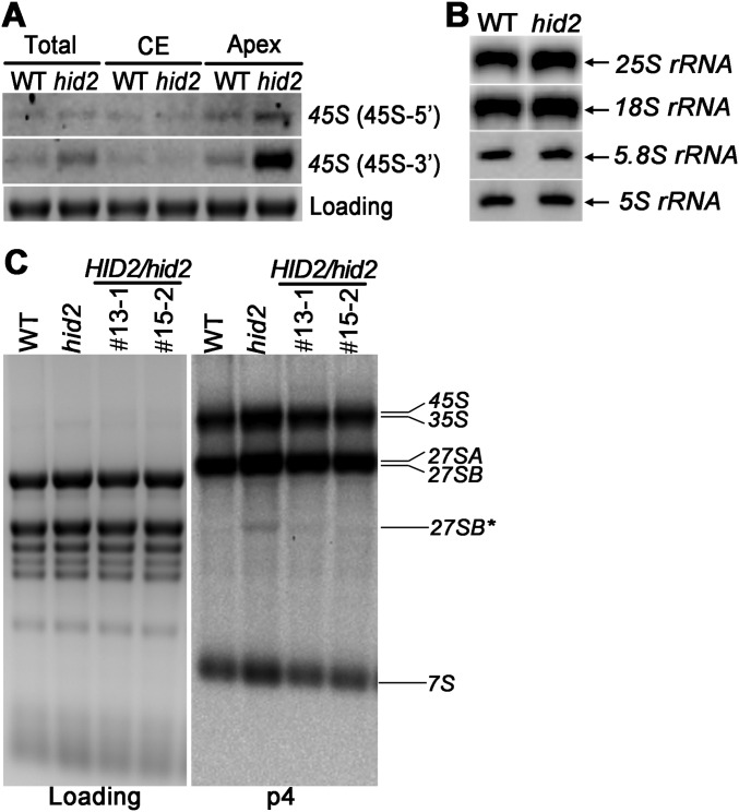 Fig. S6.