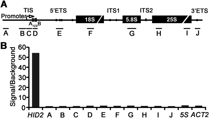 Fig. S7.