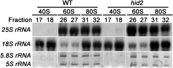 Fig. S9.