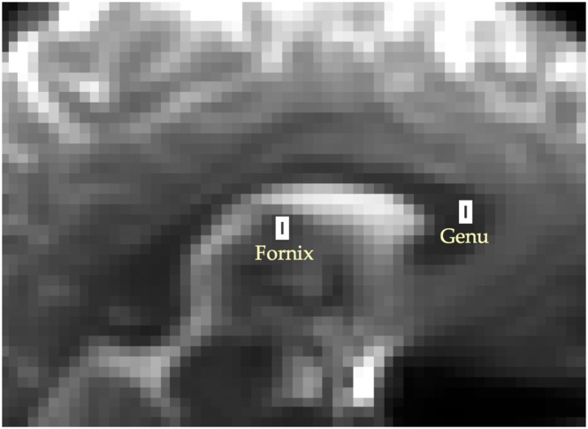 nbm3734-fig-0001