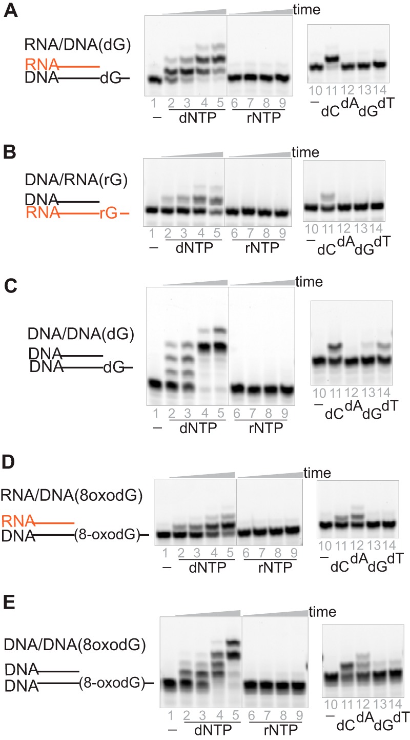 Figure 6.