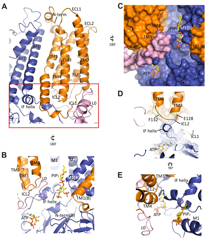 Figure 5.