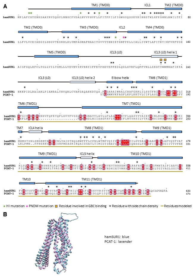 Figure 2—figure supplement 2.