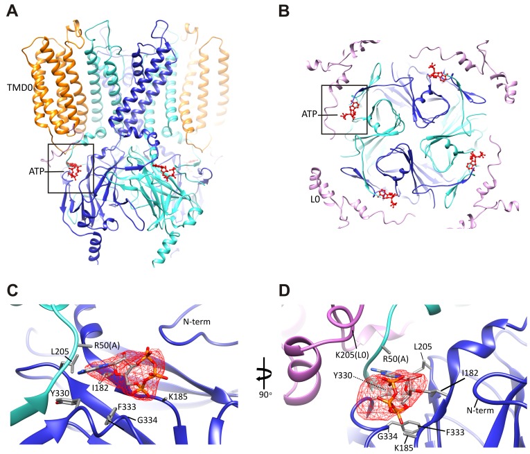 Figure 4.