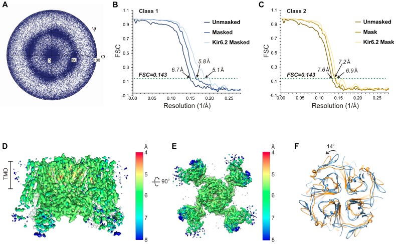 Figure 1—figure supplement 2.