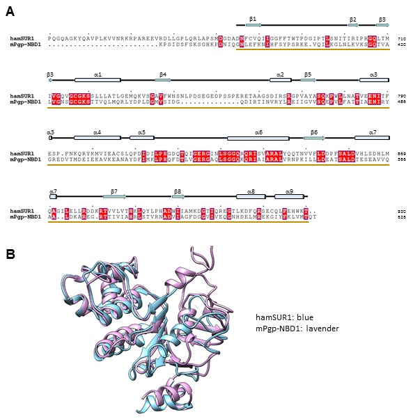 Figure 2—figure supplement 3.