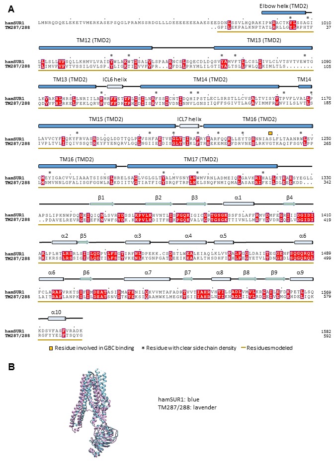 Figure 2—figure supplement 4.