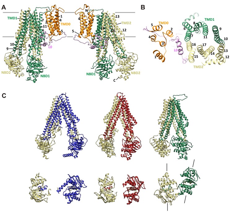 Figure 7.