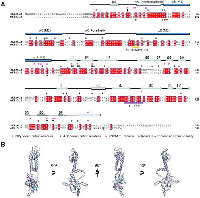 Figure 2—figure supplement 1.