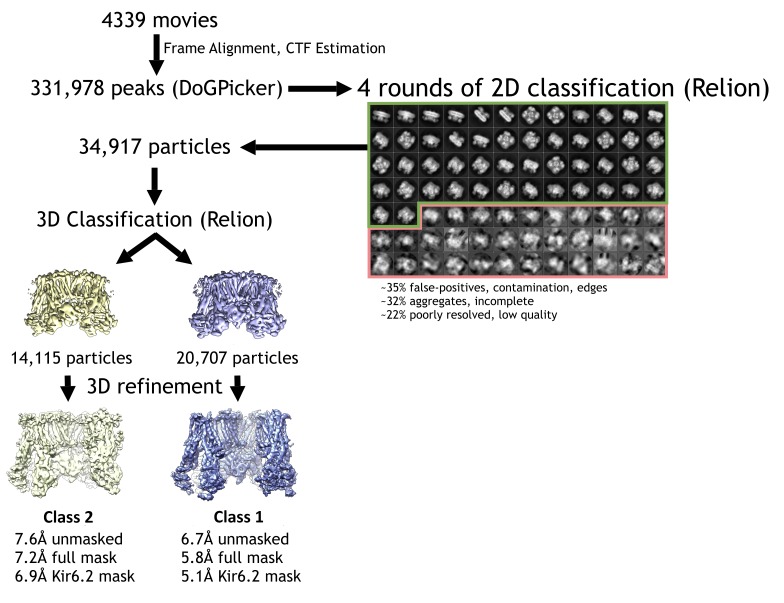 Figure 1—figure supplement 1.