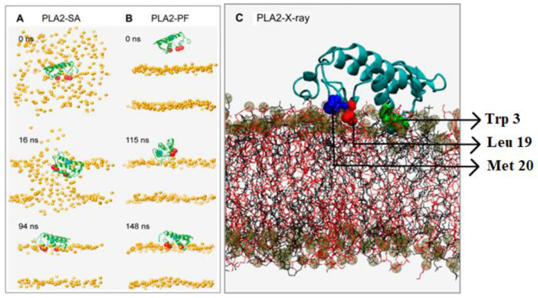 Figure 6