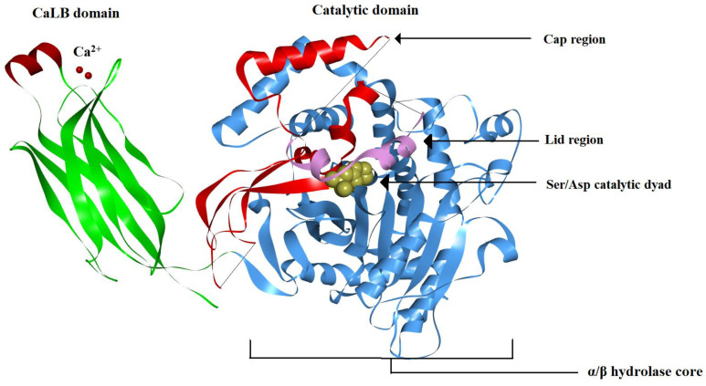 Figure 11