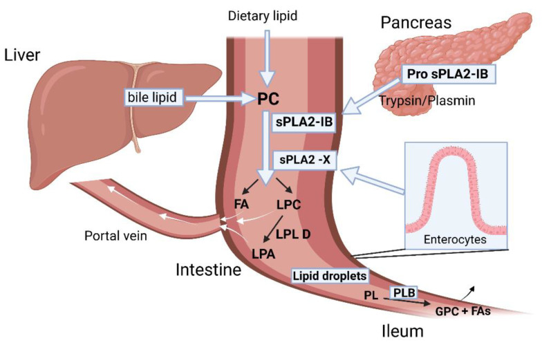 Figure 16