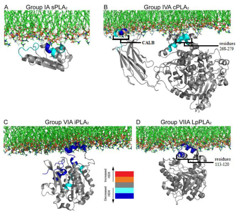 Figure 15