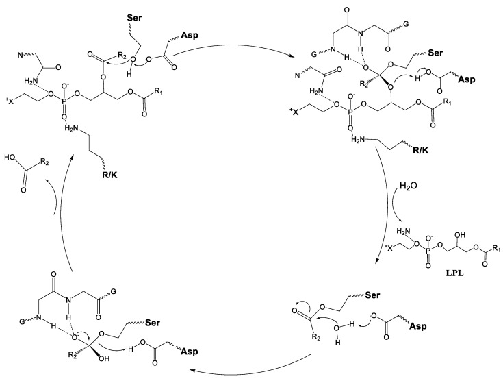 Figure 14