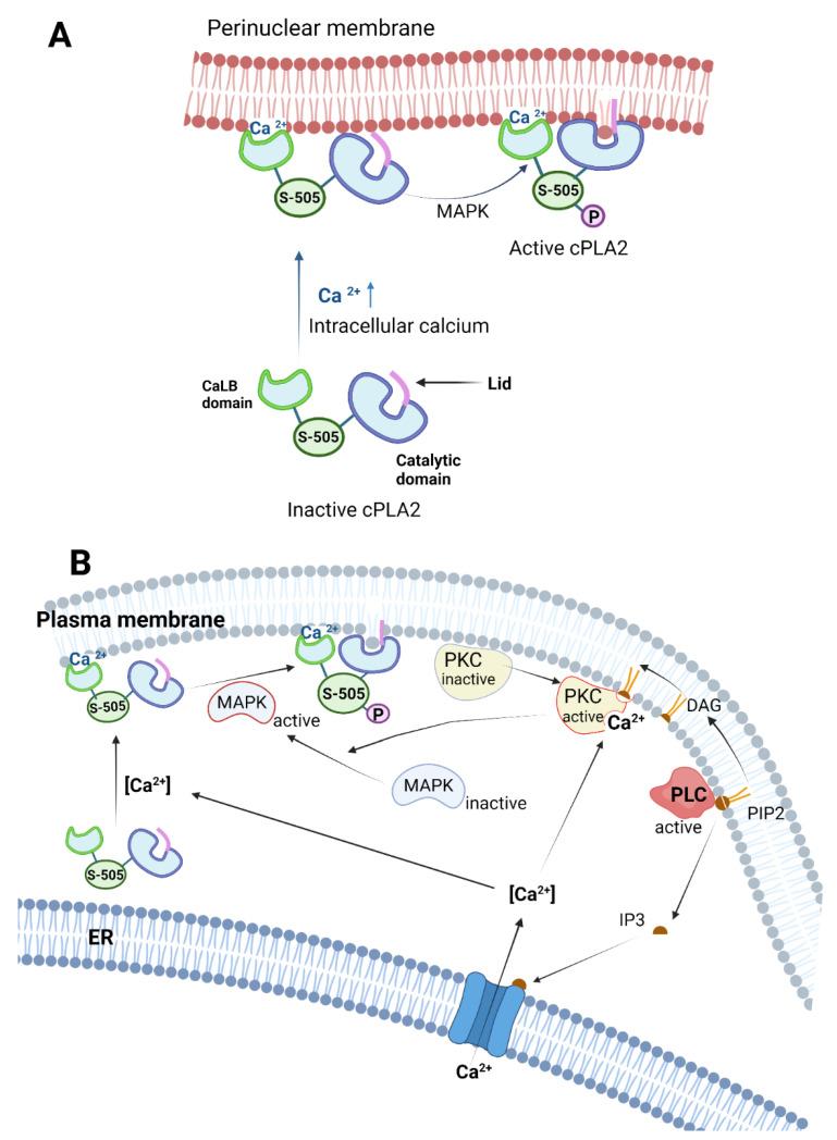 Figure 12