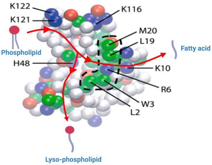 Figure 7