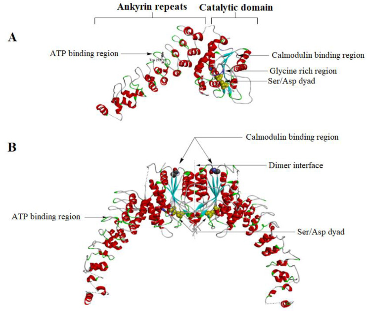 Figure 13