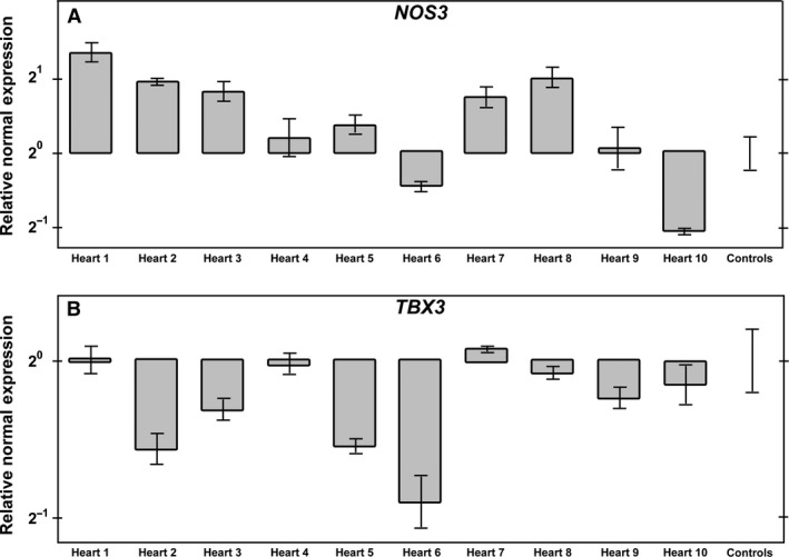 Figure 6