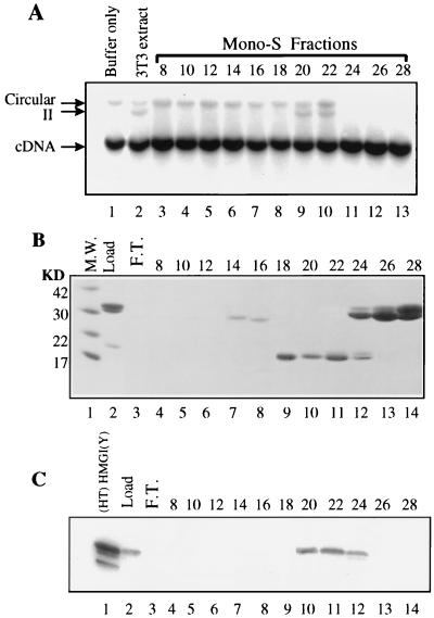 FIG. 5