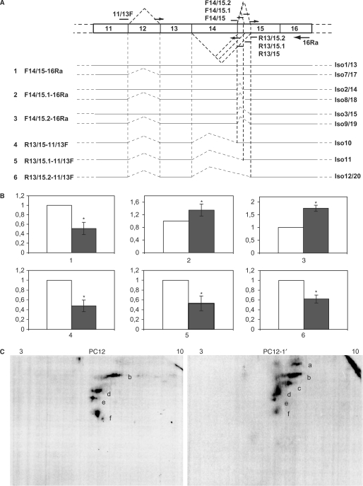 Figure 6.