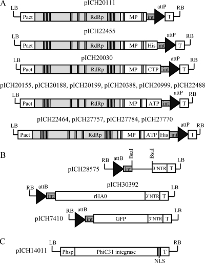 FIG. 1.