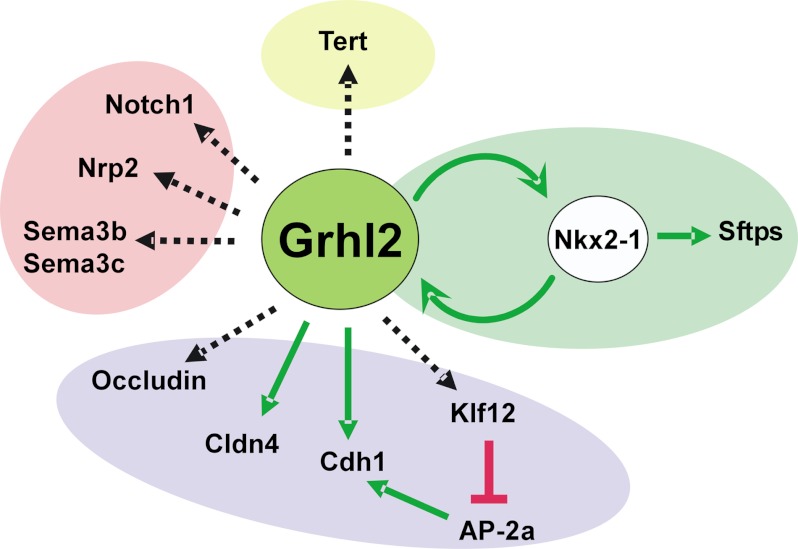 FIGURE 11.