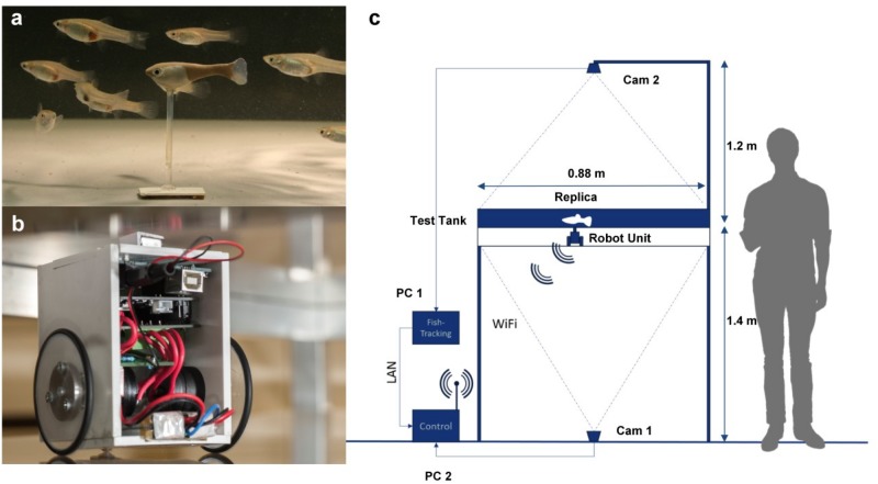 FIGURE 1