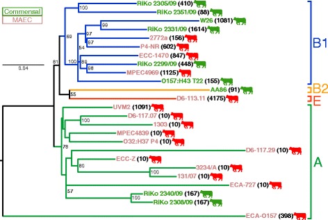 Fig. 2