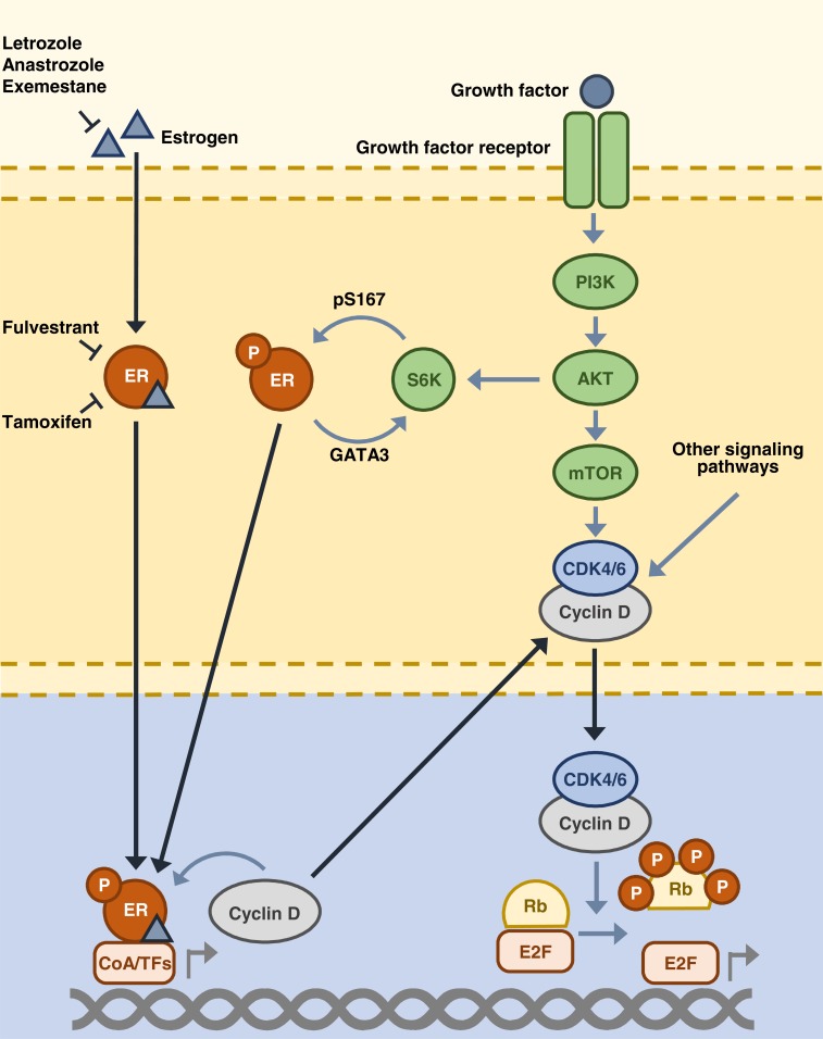 Fig. (2)