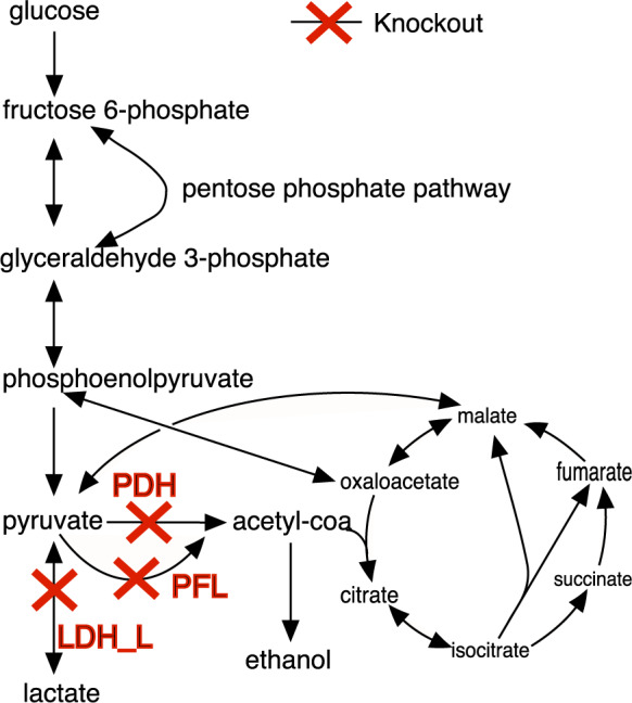 Fig. 2.