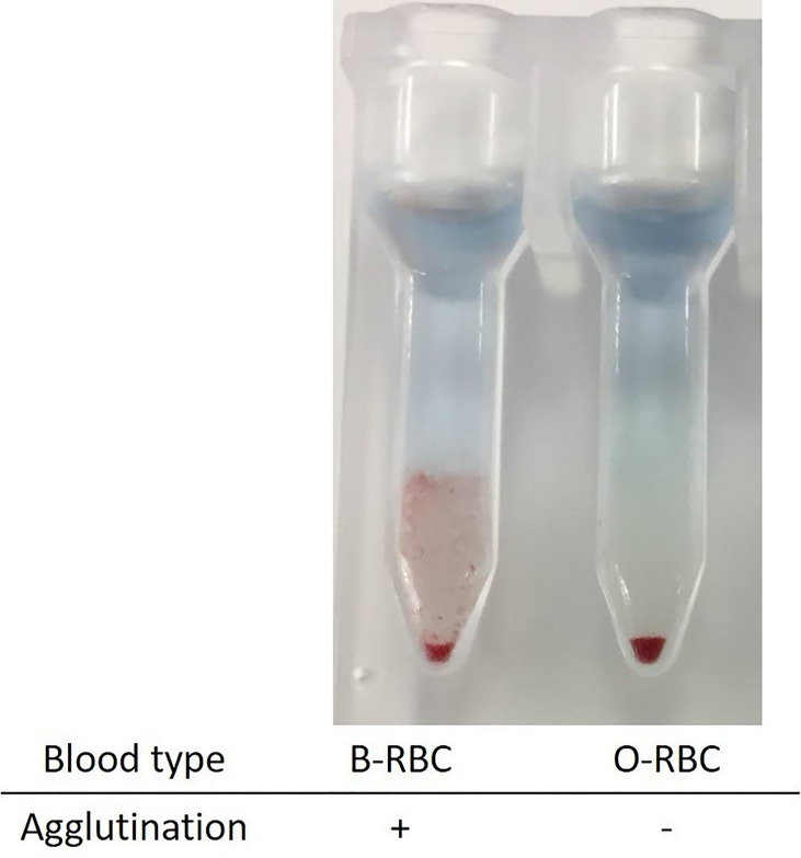 Figure 2