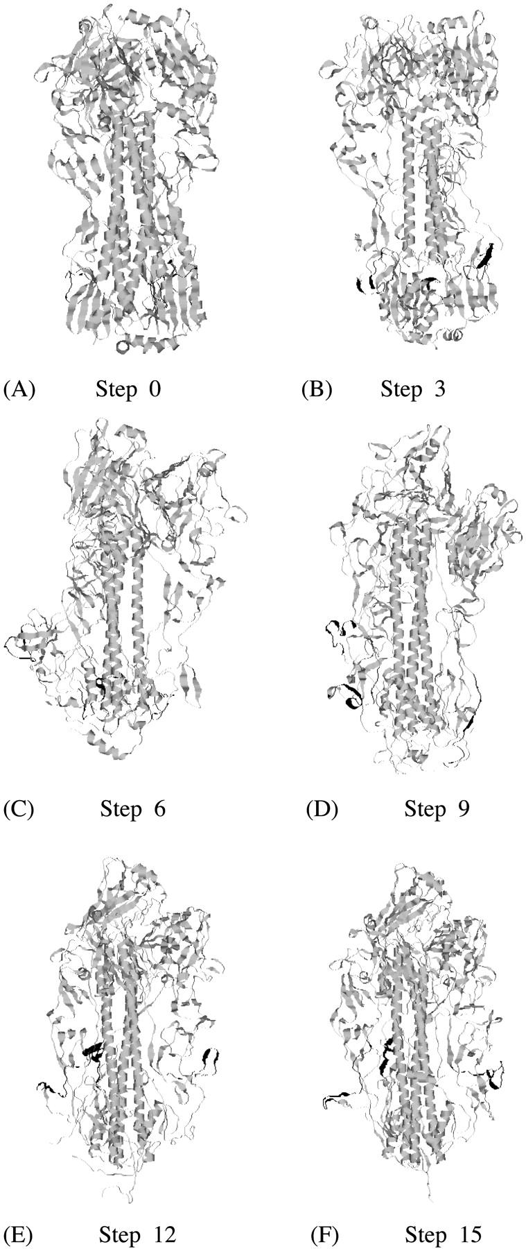 FIGURE 4