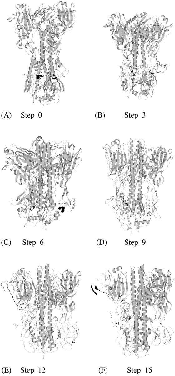 FIGURE 3