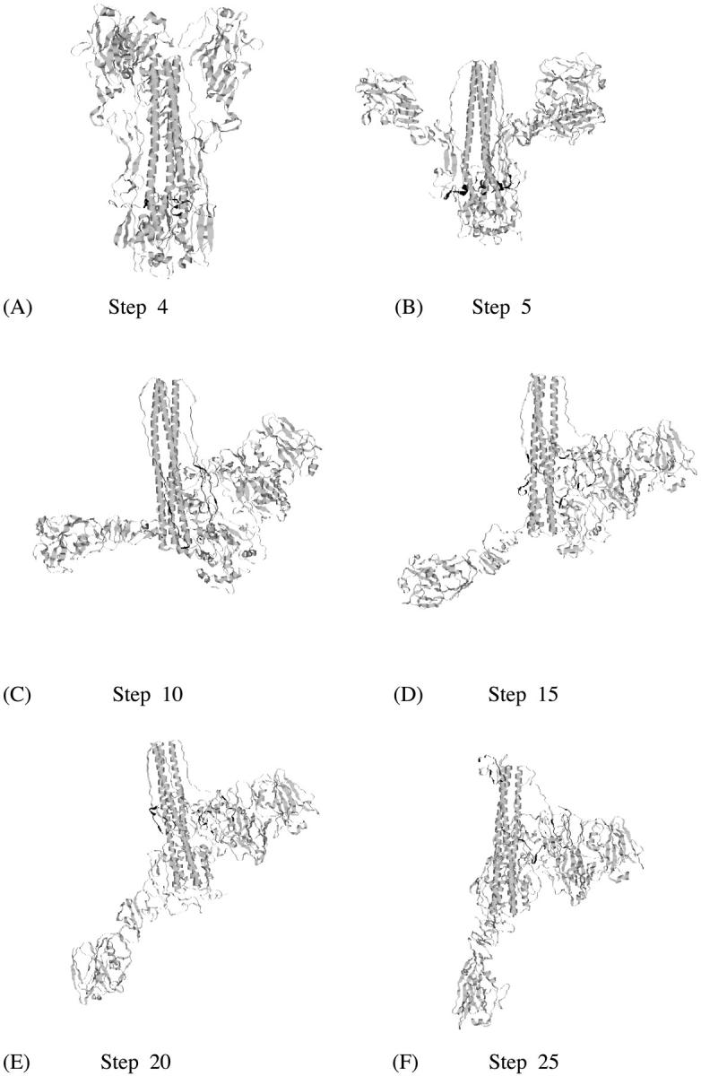 FIGURE 2