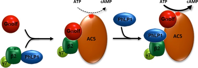 Figure 7.