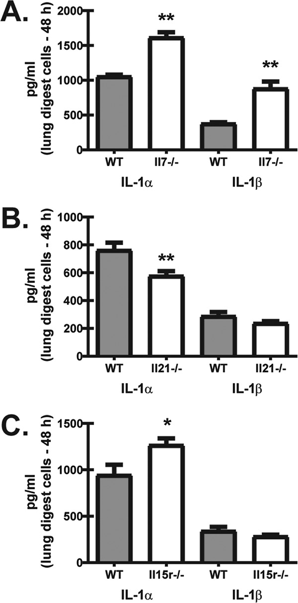 FIG 2