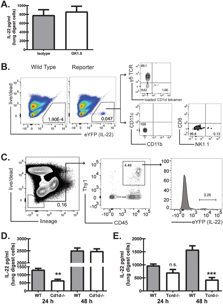 FIG 3