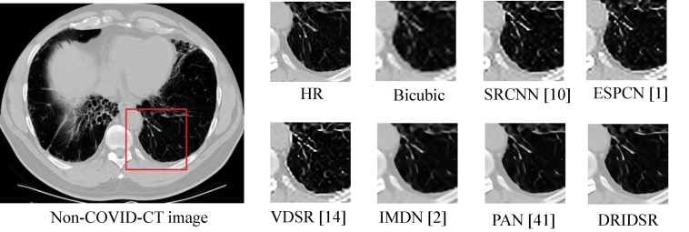 Fig. 10