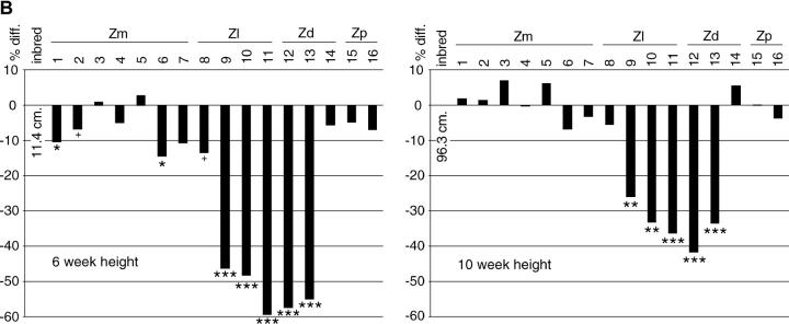 Figure 3.—