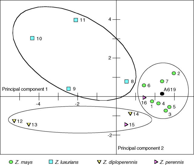 Figure 10.—