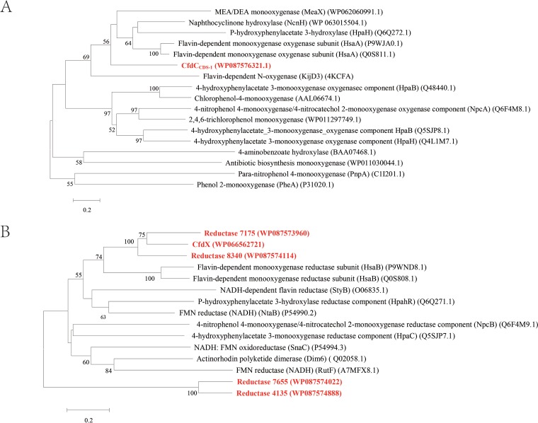 FIG 3