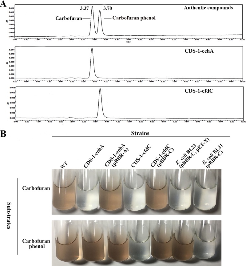 FIG 2