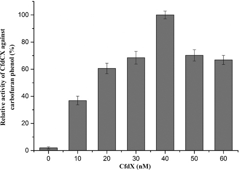 FIG 5