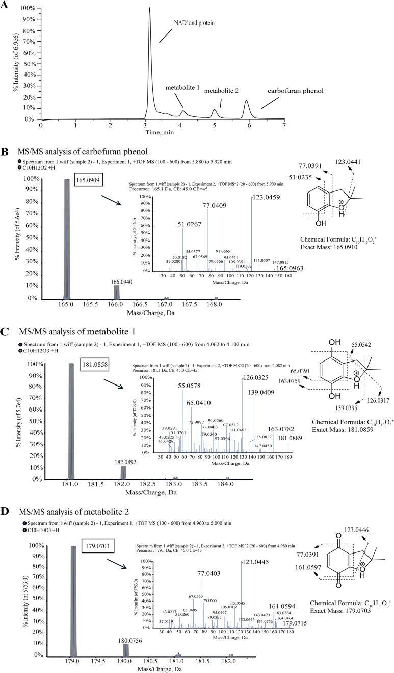 FIG 4