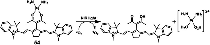 Fig. 28