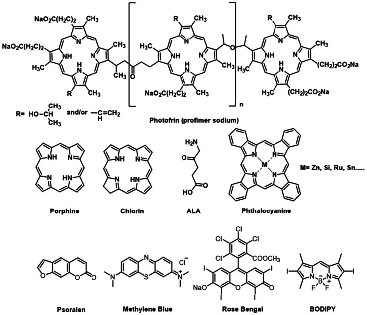 Fig. 2