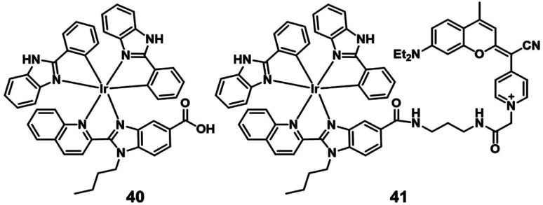 Fig. 20