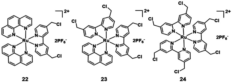 Fig. 13